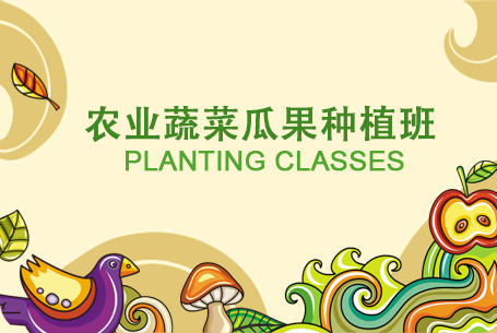 网页制作零基础到项目实战